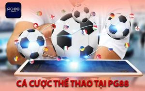 cá cược thể thao tại pg88